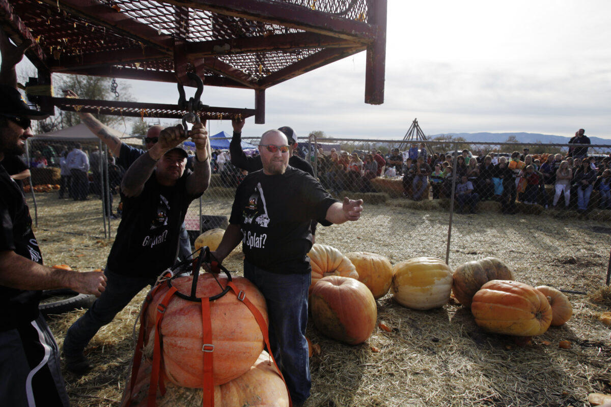 Hee Haw Farms holds annual Giant Pumpkin drop | News, Sports, Jobs